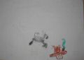 100_0009.JPG